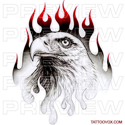 Black and White Eagle Face Tattoo Design by Morphart Creations #1643921