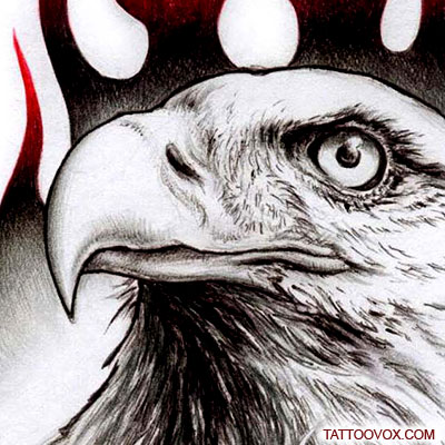 71 Awesome Eagle Head Tattoo Ideas [2024 Inspiration Guide]