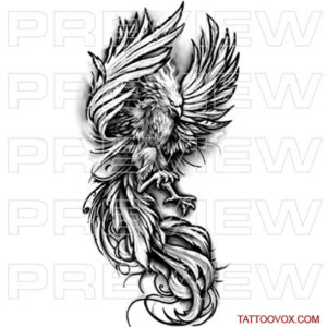 Phoenix Tattoo Black and Grey Realism Tattoo Design tattoovox art skech download buy